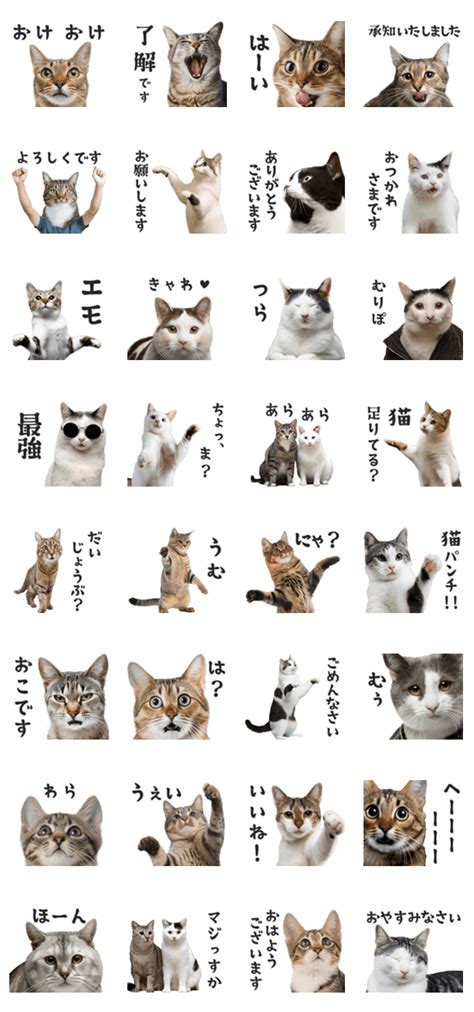 定番の猫スタンプ：