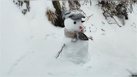 宛如夢幻仙境的雪人王國