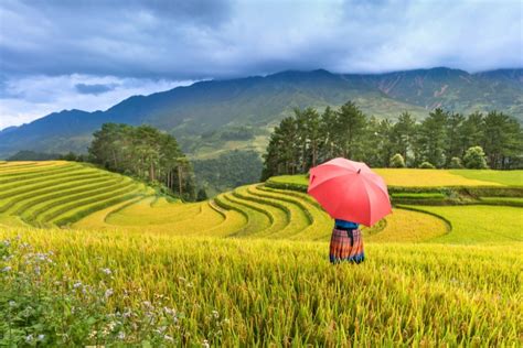 宮城 10 大必訪景點，一次滿足你的東北風情！