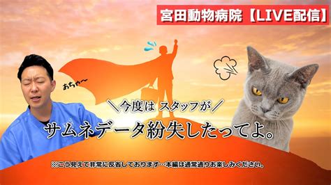 宮田動物病院で大切な家族の健康を守る