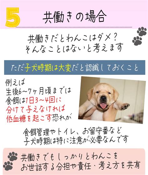 家庭の犬を迎える準備: