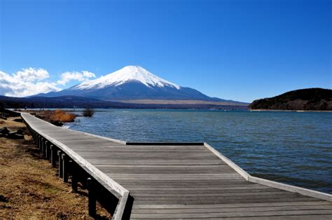 富士五湖（Fuji Five Lakes）