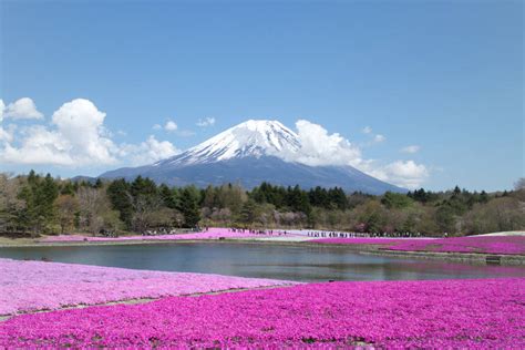 富士山五湖