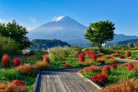 富士山靜岡：一個充滿無限潛力的投資寶地