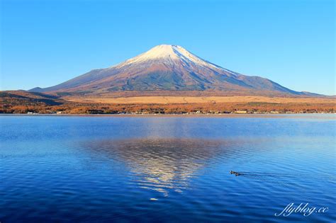 富士山麓的絕美秘境