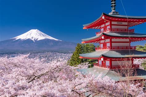 富士山 周邊