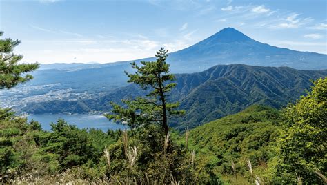 富士山 眺望