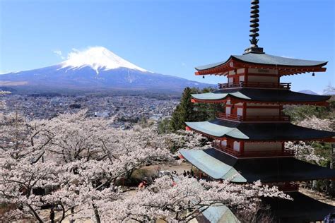 富士山 神社