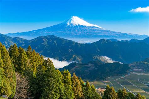 富士山 靜 岡