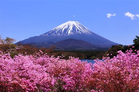 富士山 4 月