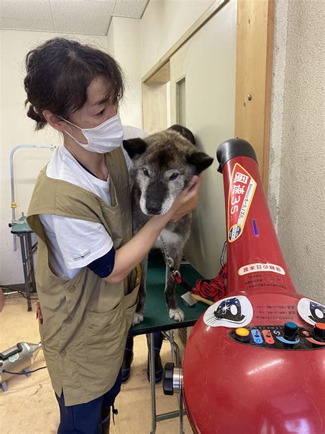 富里動物愛護センター