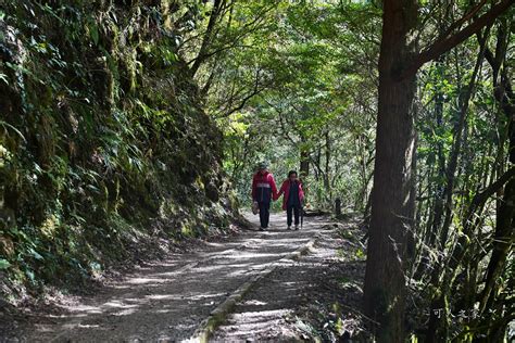 富野古道5000年傳奇！