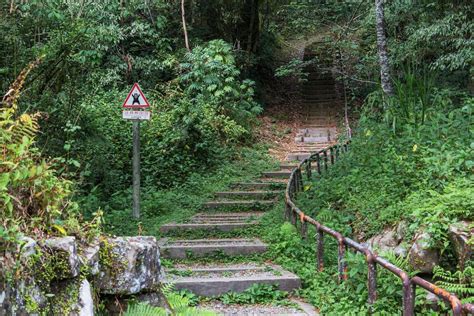 富野 古道