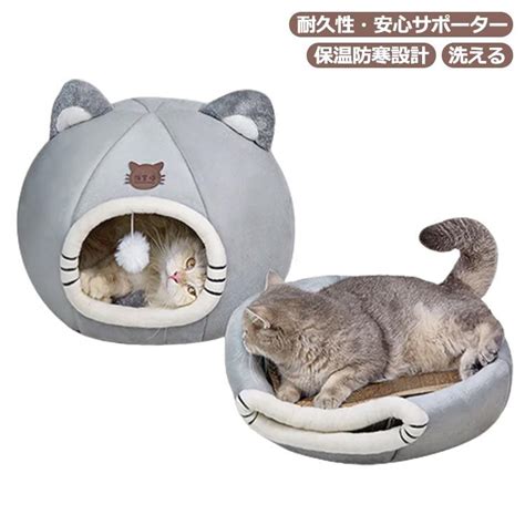 寒い猫を暖かく保つ：包括ガイド