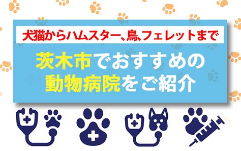 寒河江市でおすすめの動物病院