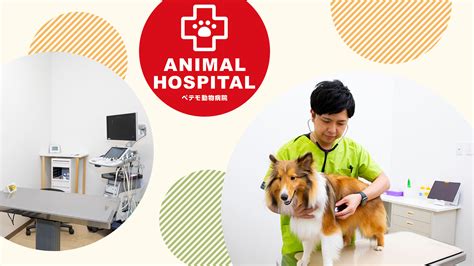 寒河江市でおすすめの動物病院6選！ペットの健康を守ろう！