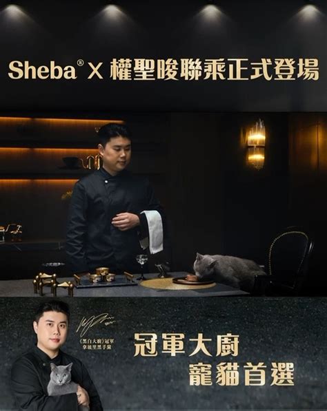 寵愛你的貓咪，就從 SHEBA 開始