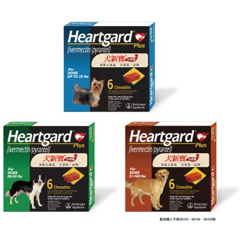 寵愛毛孩不心痛：Heartgard 香港殺蟲藥指南