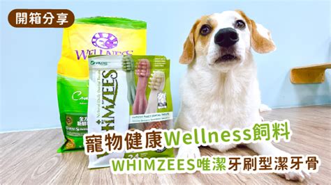 寵愛毛孩，從均衡飲食開始：挑選頂級Wellness飼料，打造健康幸福人生