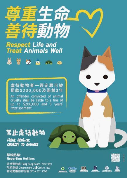 寵愛無限：Petz 引領寵物照護新時代