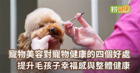 寵物健康與幸福