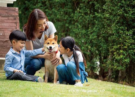 寵物儼然成為現代家庭的一份子，飼主們對毛孩的呵護也越發重視。其中，一款實用又吸睛的狗狗包款，不僅能滿足毛孩外出散步、訓練或休閒的需求，更能彰顯飼主獨特的品味。