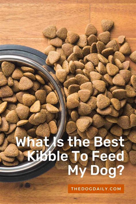 寵物的營養必需品：深入了解乾飼料 (Kibble) 的世界