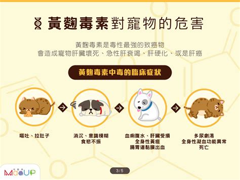 寵物的致命誘惑：飼料的愛恨情仇