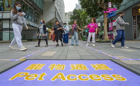 寵物經濟蓬勃發展！Petaccess引領寵物照護新趨勢