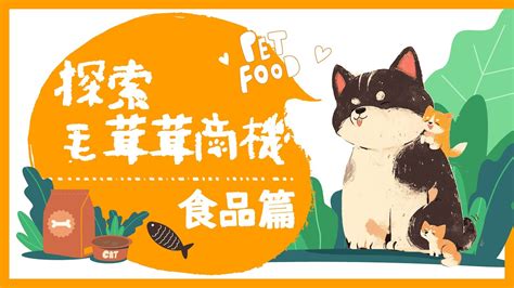 寵物飼料：您的毛孩子健康與幸福的基石