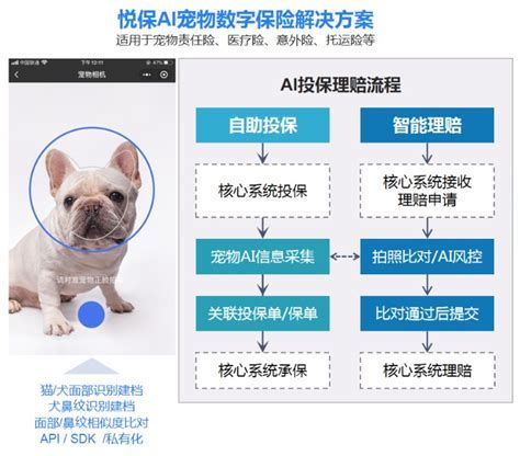 寵物 AI：改變寵物飼養遊戲規則的創新技術