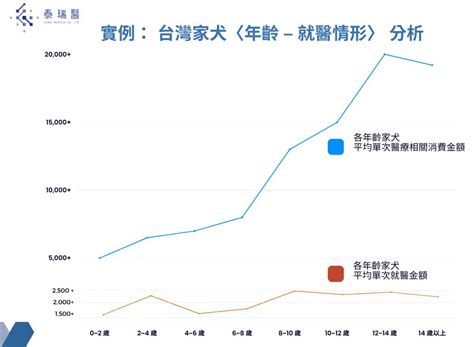 寵糧市場趨勢：掌握關鍵數據，洞悉產業藍海