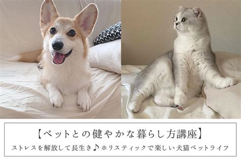 寺井動物病院で健やかなペットライフを！