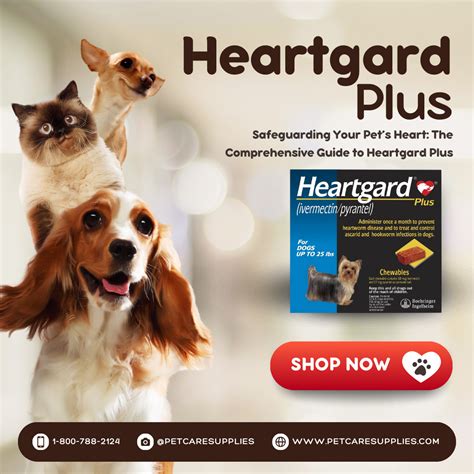 專為香港寵物打造的心臟守護：Heartgard HK