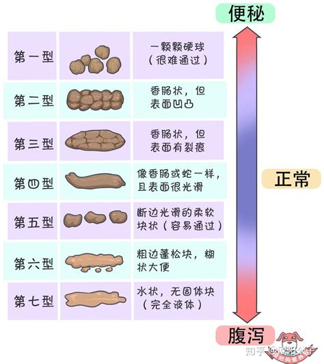 小便的成分