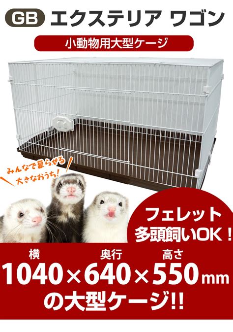 小動物ケージ: 大型サイズの選び方とおすすめ商品