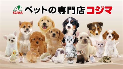 小動物用品で快適で健康的なペットライフを実現