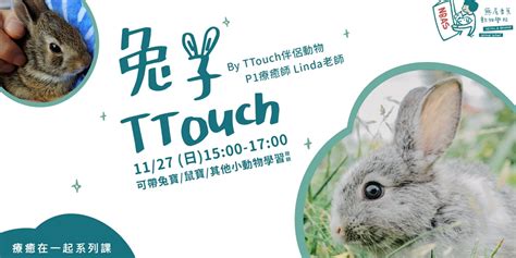 小動物的療癒功效