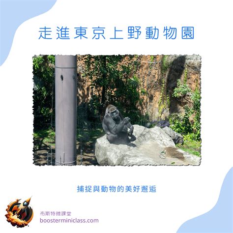 小動物的魅力與美好