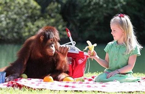 小動物：人類生活中的療癒夥伴