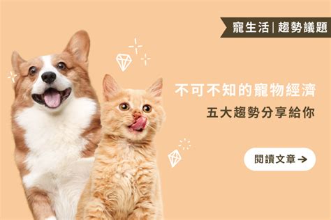 小動物：你不可不知的萌寵世界