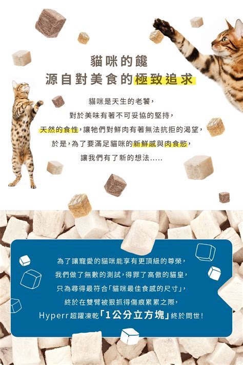 小動物：探索與牠們同行的美好世界