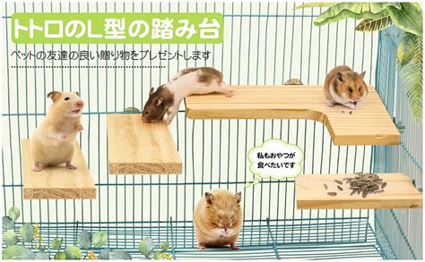 小動物 ステップ：愛らしいペットとの豊かな生活