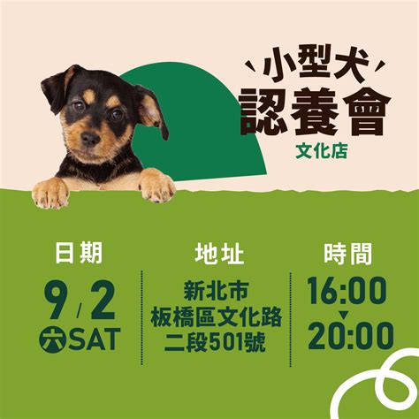 小型成犬飼養指南：迎來毛茸茸的家庭新成員