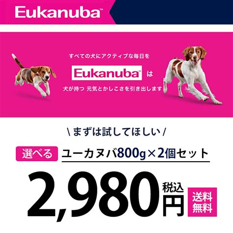 小型犬とユーカヌバ: 健康で幸せな生活のために