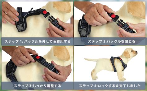 小型犬のためのハーネス: 安全で快適な散歩のためのガイド