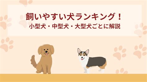 小型犬または中型犬である