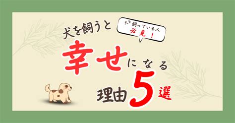 小型犬を飼って幸せな毎日を！シュプレモで最高の相棒を見つけよう