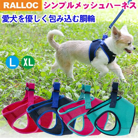 小型犬用ハーネスの完全ガイド