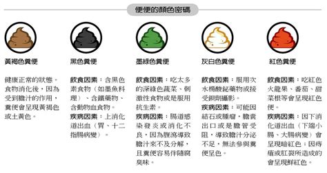 小小便便，大大學問：揭開尿液的健康密碼